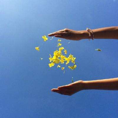 TCL中环持续承压亏92亿两年未分红 新能源光伏毛利率-12.9%负债率66.7%